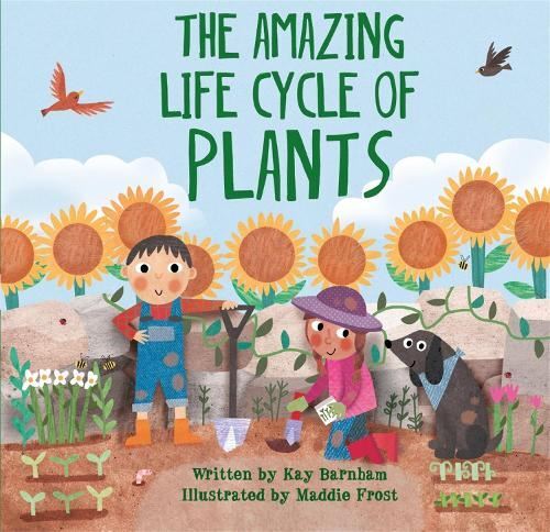 Look & Wonder: The Amazing Life Cycle of Plants