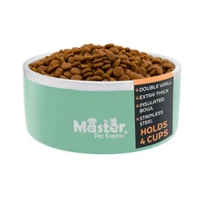 Stainless Steel Medium Double Wall Dog Bowl with Anti Skid Base - Pistachio