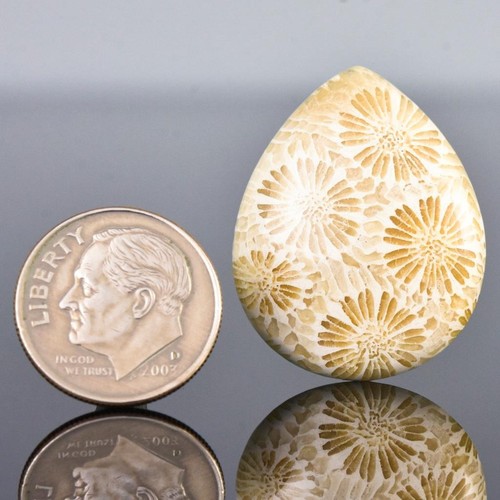 Rare Natural Agatized Fossil Coral Cabochon with Flower Pattern Indonesia 5.00g - Picture 12 of 14
