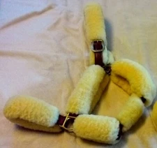 Beval Deluxe Leather Sheepskin Shipping Halter