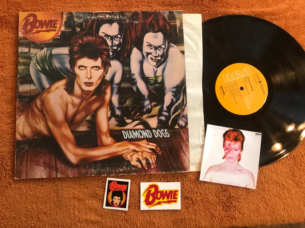 ミュージック diamond dogs  anniversary 10th 41Fj5MwMKvL._SY200_QL15_.jpg