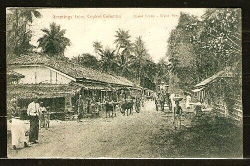 CEYLON Sc 198 on PPC to ITALY ARR CDS 1906 FVF