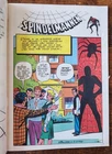 Amazing Fantasy #15 1962 + Spider-Man #1 1963 - Sweden 1978 Foreign Double Key
