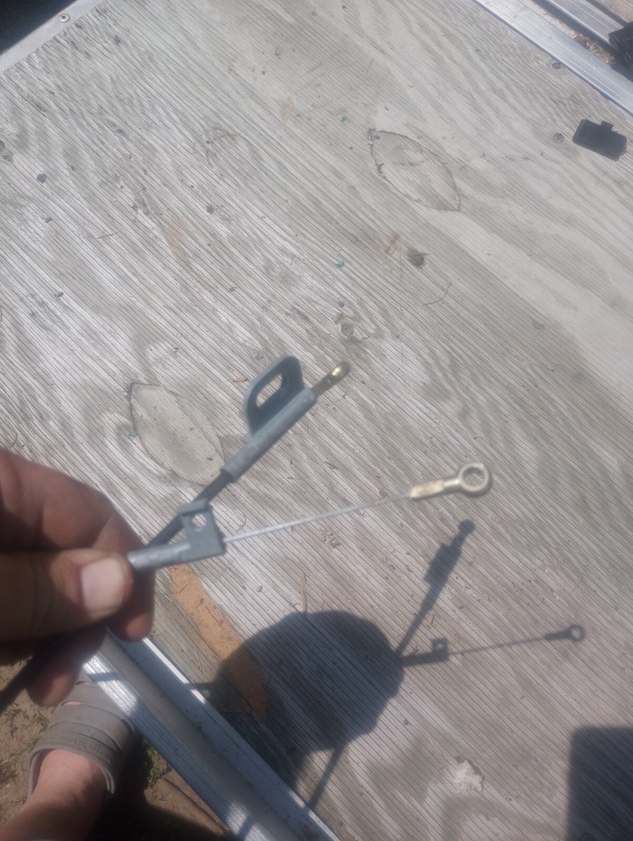 写真まとめ② adidas SUPER EARTH マルチカラー スニーカー adidas(アディダス