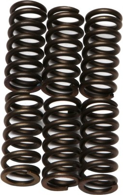 EBC CSK Clutch Spring Kit CSK11