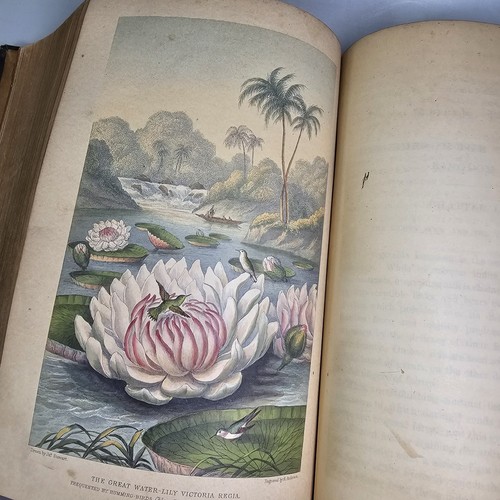 1870 The Universe Pouchet Antique Book Natural History Engravings Ex-library - Imagen 11 de 24