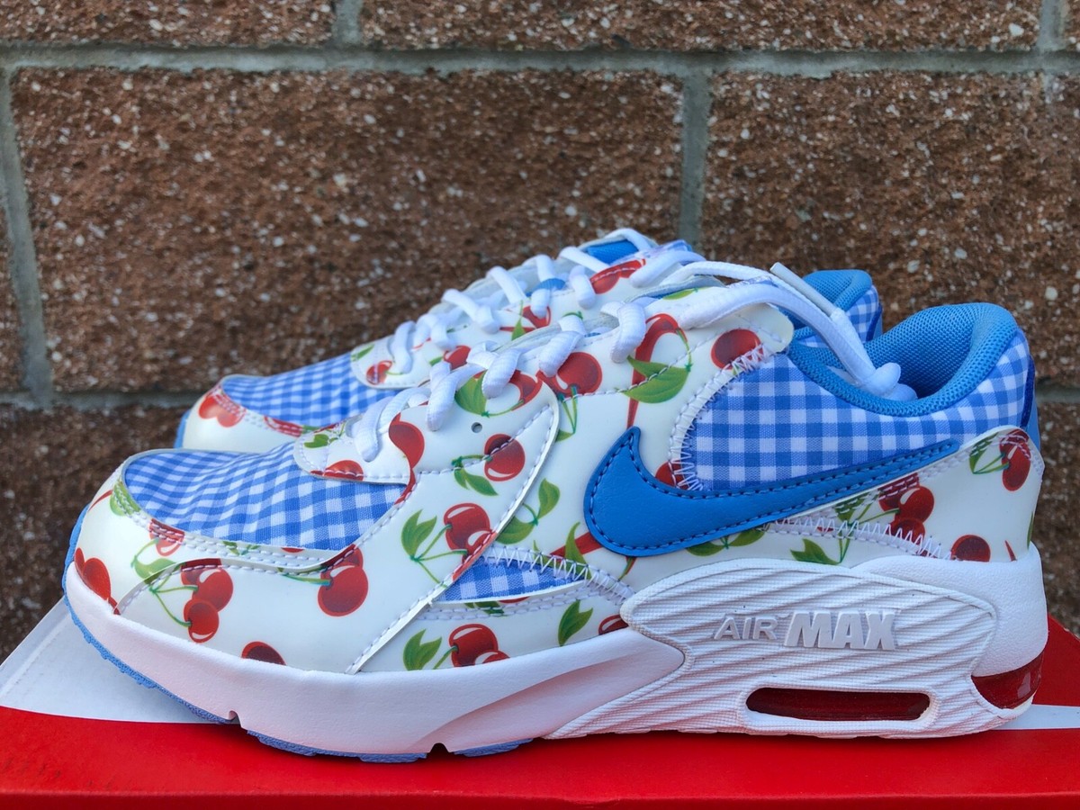 airmax picnics