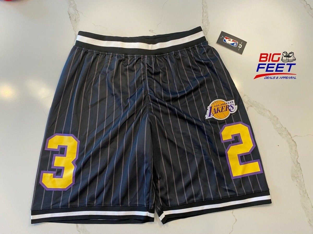 Size LG NBA Los Angeles LA Lakers Lebron James #23 Black Mamba - Main Image