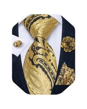 Mens Tie and Lapel Pin Set Silk Plaid Solid Paisley Necktie  Black Gold