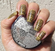 Nail Art Stamping Plates Image Plate Decoration Crackle Aztec Flowers (hehe019)