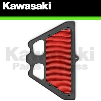 Filtre à Air DNA Haute Performance Pour Kawasaki Z900/Z900 ABS (2017-2025)