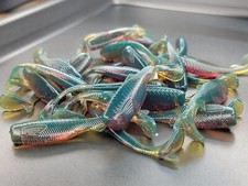 (16) - 2 Mighty Minnow Motor Oil GRUBS BAIT J...