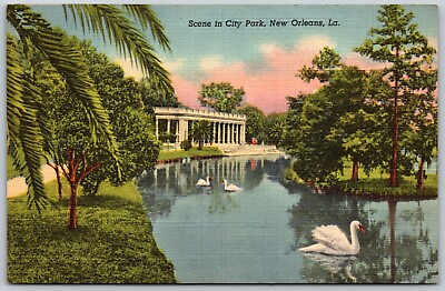 #ad Swans in the Water at City Park New Orleans Louisiana Vintage Postcard 2111 $8.45