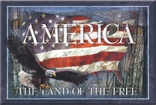 New America Land Of The Free Decorative Metal Refrigerator Magnet