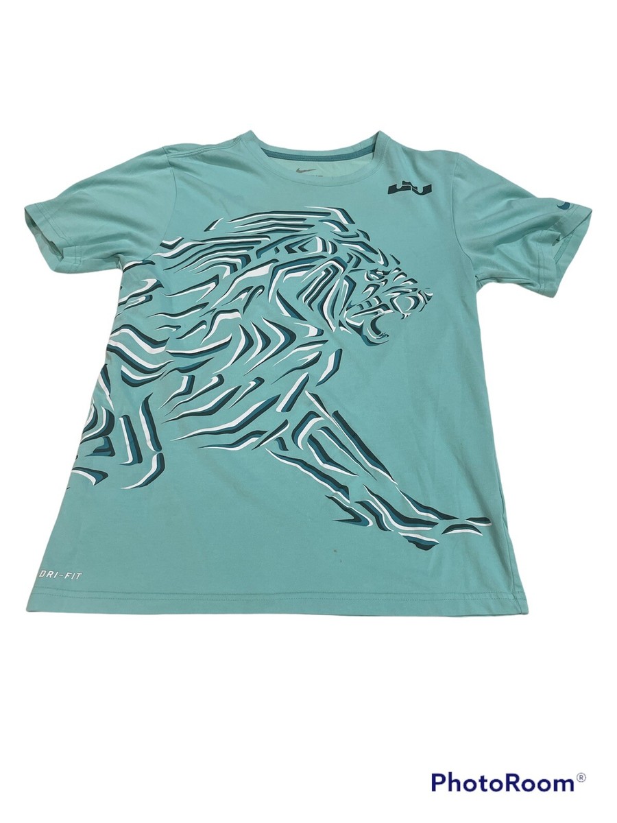Preowned Nike DriFit King James Lebron Lames Grapic T-Shirt Size 