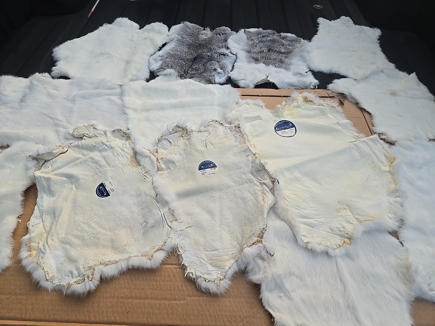 13pcs Real Rabbit Skin Tanned White  Fur Leather Hide Craft Garment Pelt