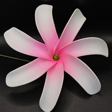 Tiare Pink  White 6" Tropical Foam Flower Hair Craft Hawaiian Tiki Hula Luau