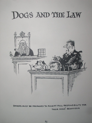 Top Dog: Thelwell's Complete Canine Compendium~Hbdj; 1964, 1st Ed.~Norm Thelwell - Bild 21 von 24
