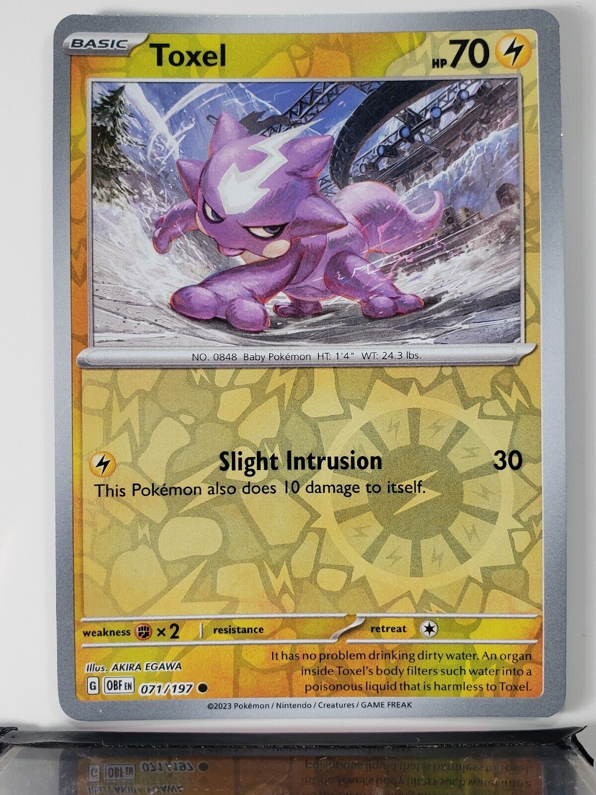 Toxel sv1 71  Pokemon TCG POK Cards