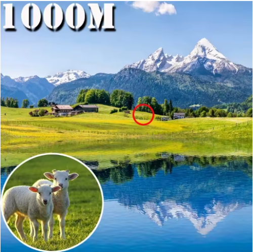 HD-Zoom 500x25 Tragbares Fernglas Teleskop -5000m/50000m- Outdoor, Jagd, Camping - Bild 4 von 7
