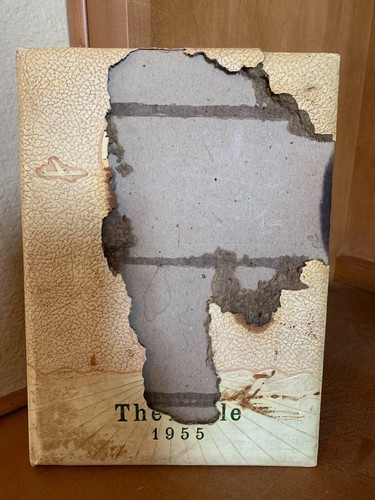 New Albin High School Yearbook 1955 55 New Albin, Iowa IA