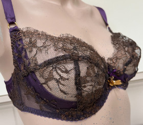 Agent Provocateur Soiree 34D bra deep purple silk bronze lace NEW dragonfly