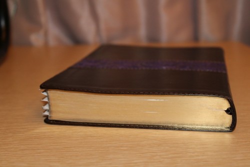 ESV Large Print Thinline Reference Bible (TruTone, Brown/Plum, Paisley Design) ( - Picture 7 of 12