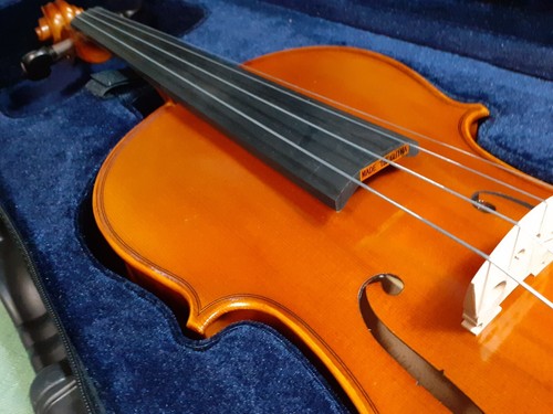 PLJBL - True Intermediate Viola #D 15,5" perfekter Flugstart, zweites Instrument - Bild 2 von 12