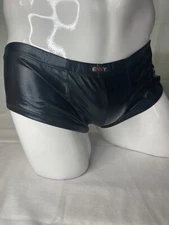 ENVY M/L Lowrise Trunk Liuid Metal Black Gay SEXY Mens Underwear