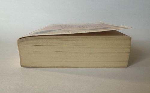 MARGUERITE YOUNG Miss MacIntosh, My Darling | 1979 Harvest Trade Paperback - Picture 5 of 10