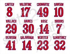 Montreal Expos DECAL STICKER 80's Carter Valentine Dawson Rose Raines Wallach +