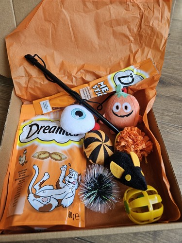 Personalised Trick or Treat Cat Present Gift Box Halloween Hamper. - Picture 2 of 3