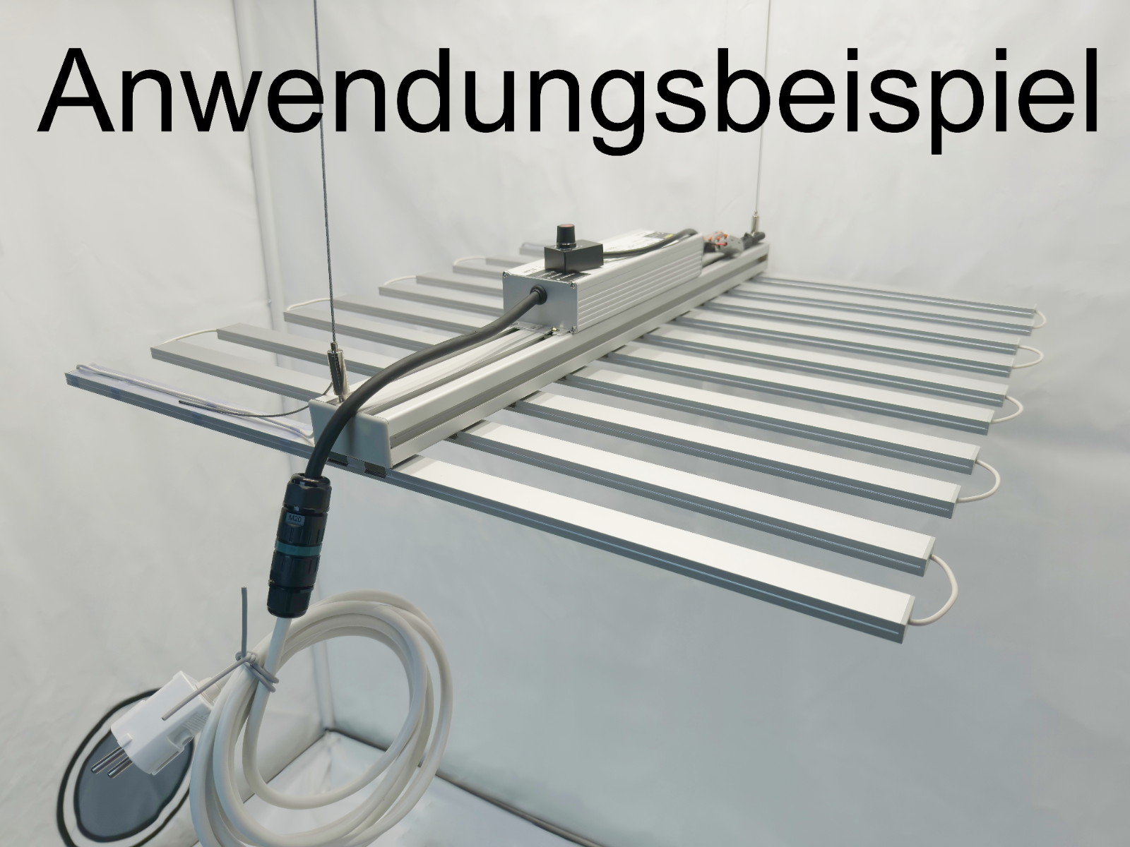 Bild 6 von 7