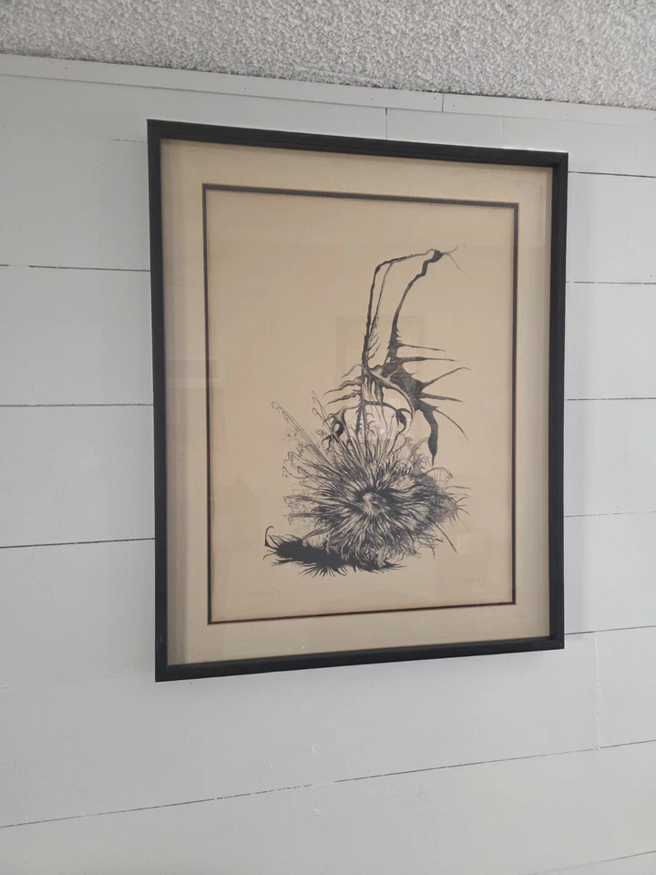 Оригинальный винтажный художественный рабочий доказательство подпись художника 1976 чертополох в рамке природы - Изображение 2 из 4