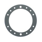 Speck Pumps 2308750005 Clamping Ring Gasket