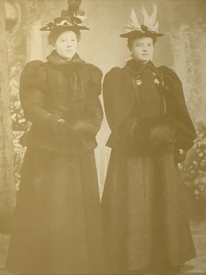 GRAND RAPIDS WISCONSIN Antique Cabinet Card Photo 1890s COATS Hats Muffs Women - Image 2 of 4