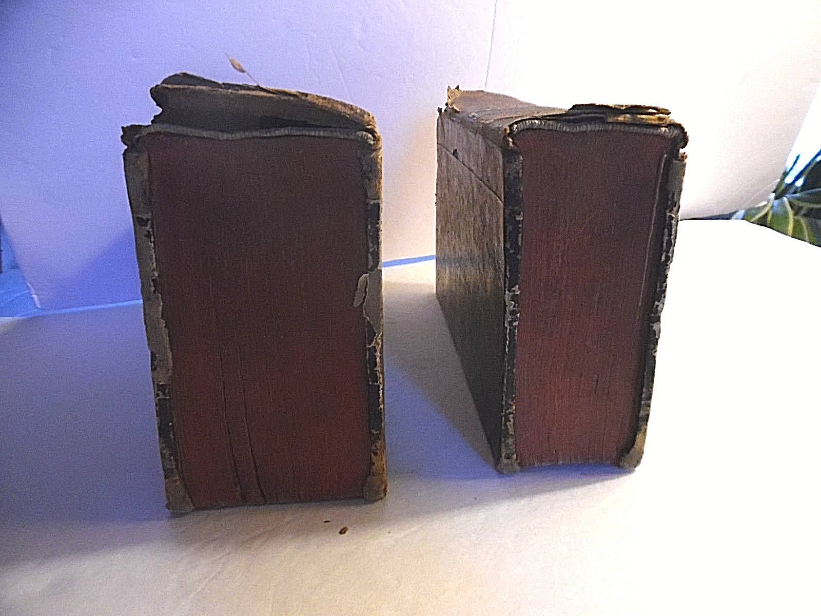 Picture 5 of 12
