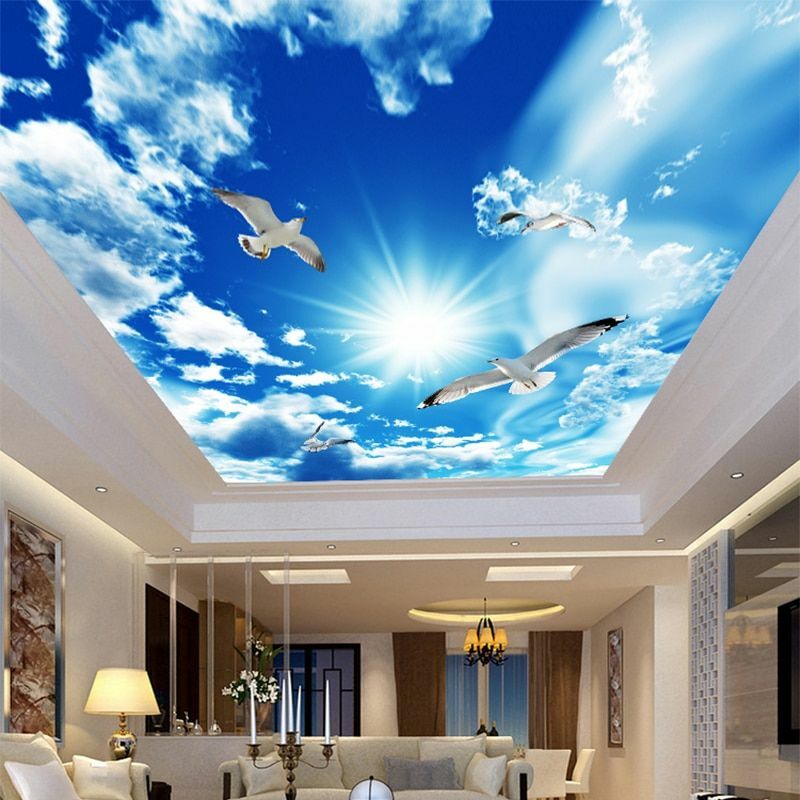 Blue Sky 写真作品 アート インテリア 61-t0wxD0-L._UF894,1000_QL80_.jpg