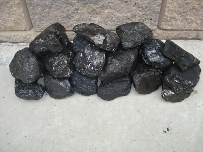 Anthracite Coal Pennsylvania Egg Coal Blacksmith Geological Teacher Sample 21 Lb Ebay Anthracite Coal Pennsylvania Egg Coal Blacksmith Geological Teacher Sample 21 Lb Ebay
