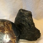 Picture 5 of 6