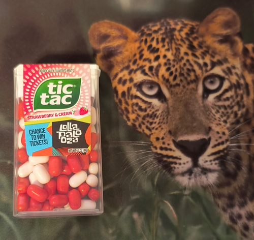 TIC TAC ERDBEERE & CREME AROMATISIERTE MINZEN 1,7 OZ X 10 PACKUNGEN ~ BB 14.06.26 - Bild 2 von 6