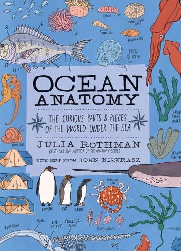 Ocean Anatomy by John Niekrasz, Julia Rothman - 9781635861600 - Image 4