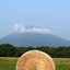 pon_pon_camera_japan