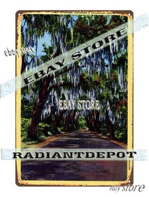 Tin Sign 1940 South Carolina Scenic Highway Tree Lined Road unframed