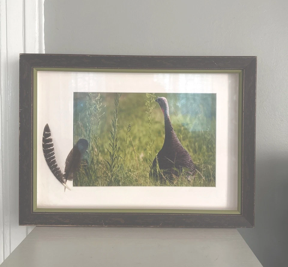 Esta es una impresión de estampillas de pavo de arte de John Dearman... Foto 2 de 3