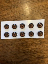 5 pair of New Concept Glass Eyes for Taxidermy and Decoy Making.