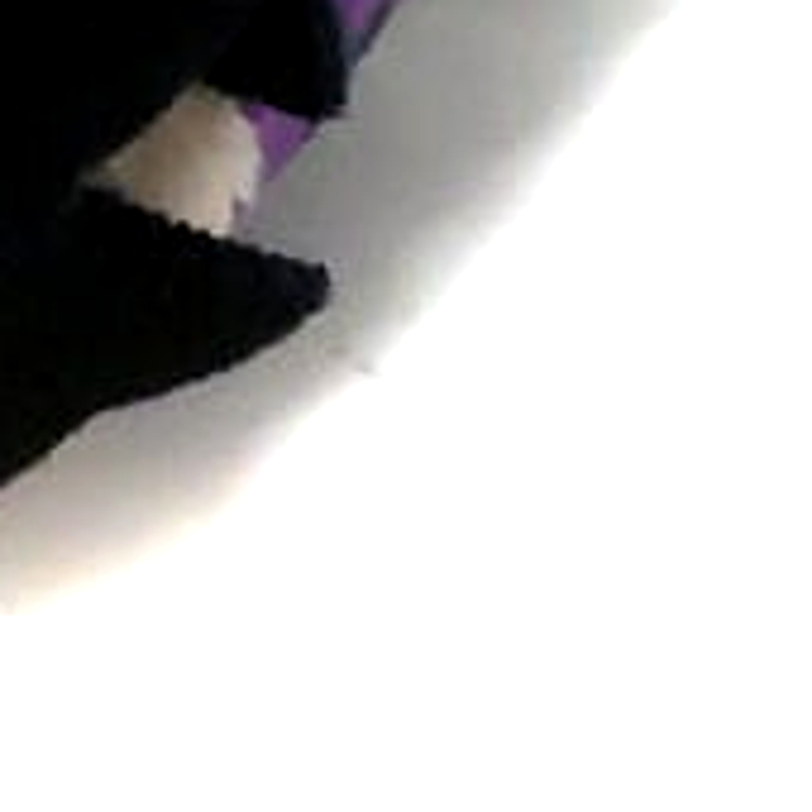 Foto 10 di 10