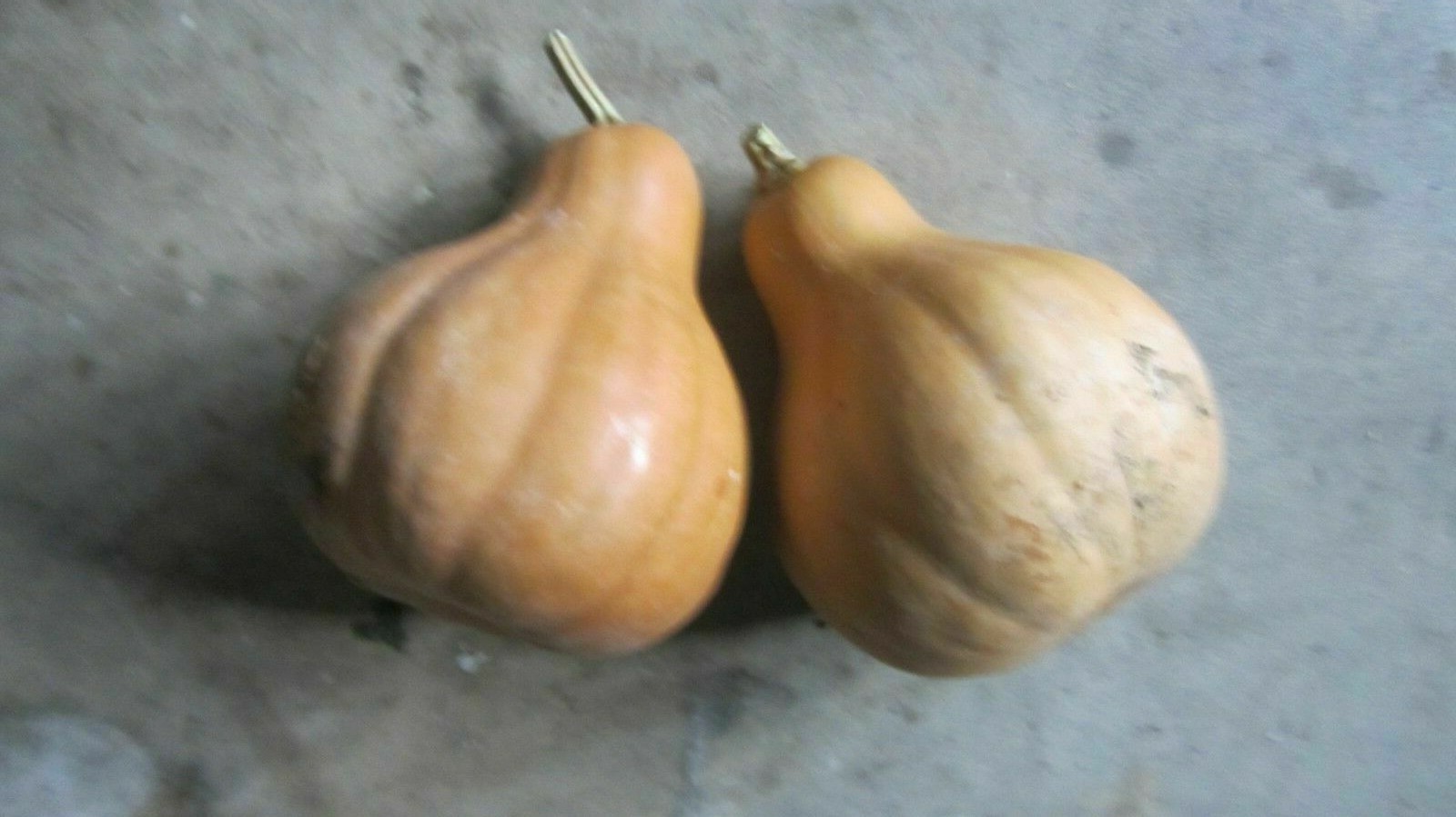 Picture 8 of 8