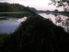 Bild 15 von 51