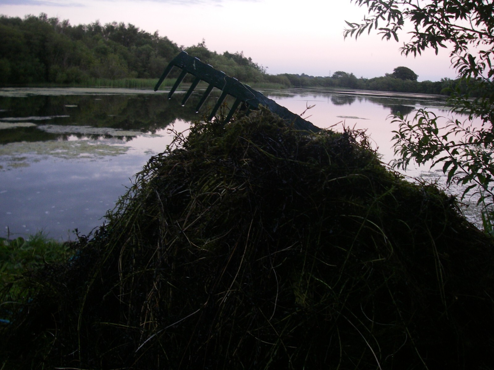 Bild 15 von 51